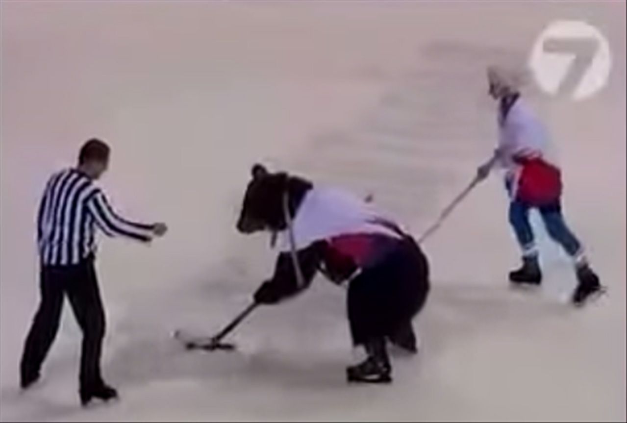 Yes This Is A Real Bear Playing Hockey In Russia Eurosport