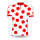 Jersey - Climber (Tour de France)