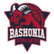 Club Deportivo Baskonia
