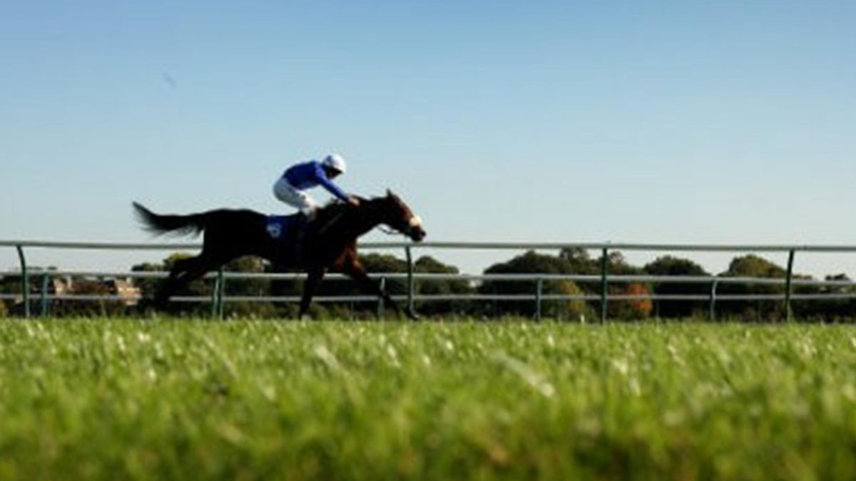 BHA to review whip rules Eurosport