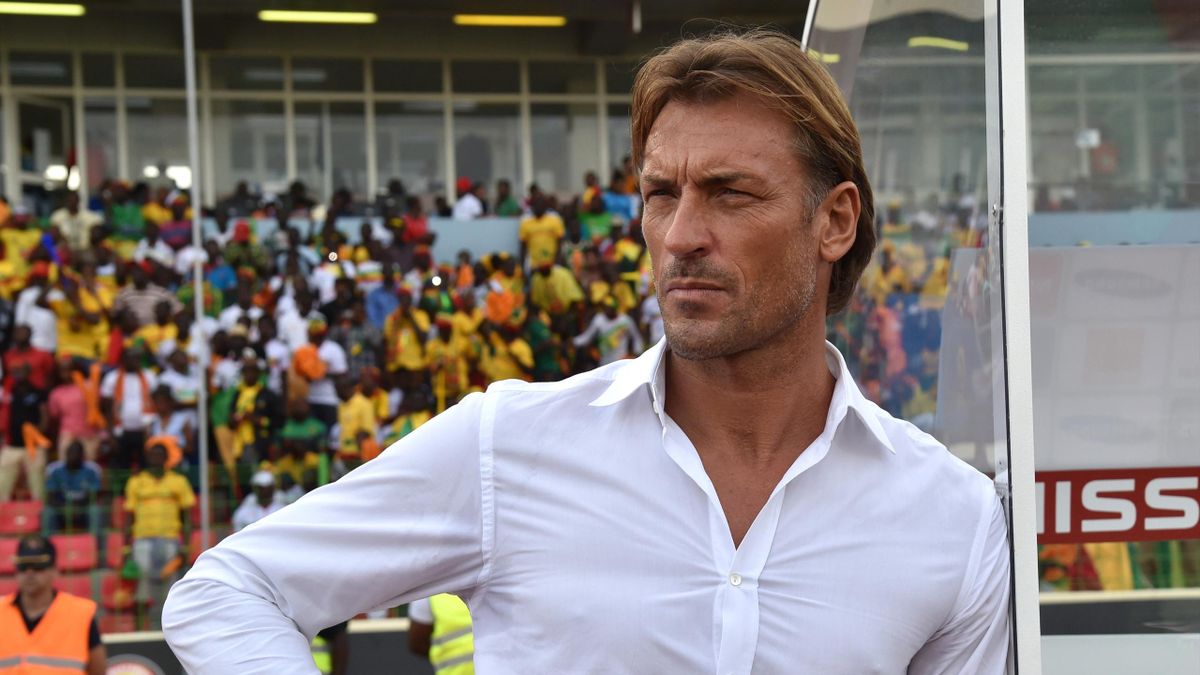 Herve Renard leaving Ivory Coast for Lille? - ZamFoot