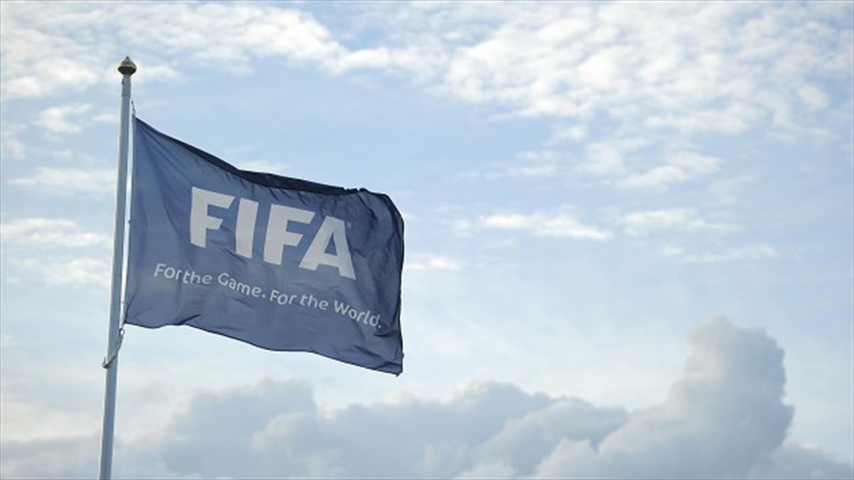 FIFA's new reform chief reveals sponsors' representatives will help oversee the process