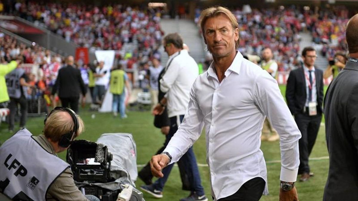 Herve Renard: Morocco coach steps down after Africa Cup of Nations