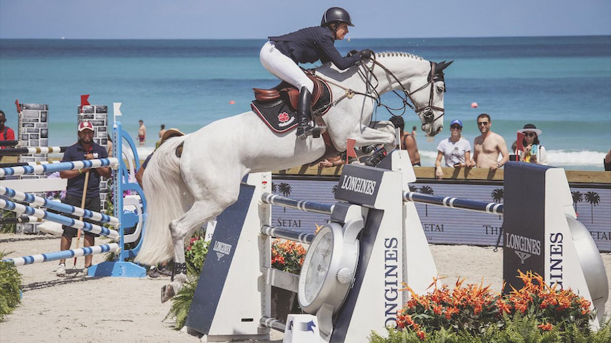Champion jumper city beach outlet