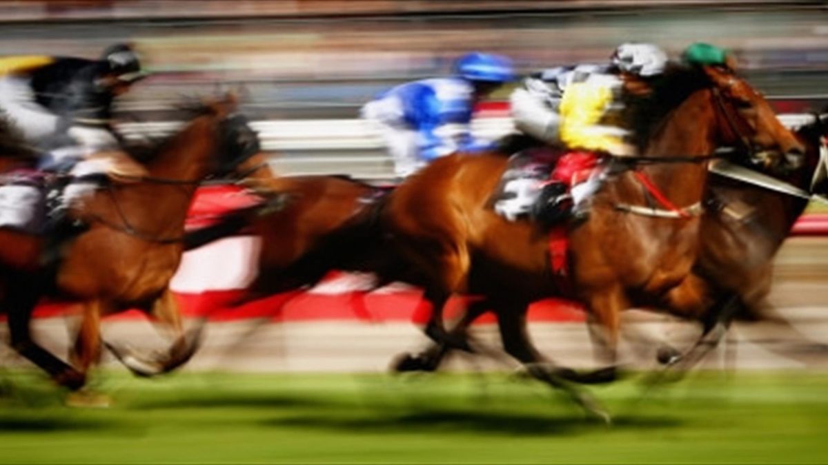 Gilt Complex Edges Singapore Gold Cup At Kranji To Secure Historic Double Eurosport This nature reserve is located northwest of kranji reservoir. gilt complex edges singapore gold cup