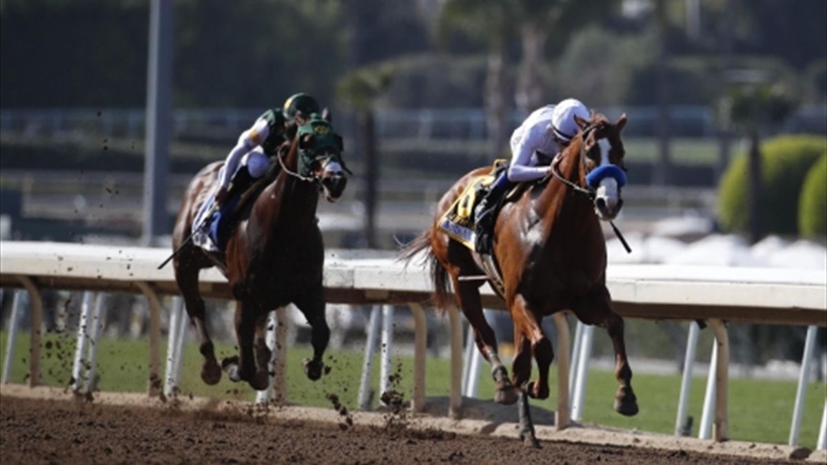 Derby brillante hotsell