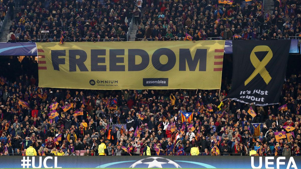 Freedomex best sale
