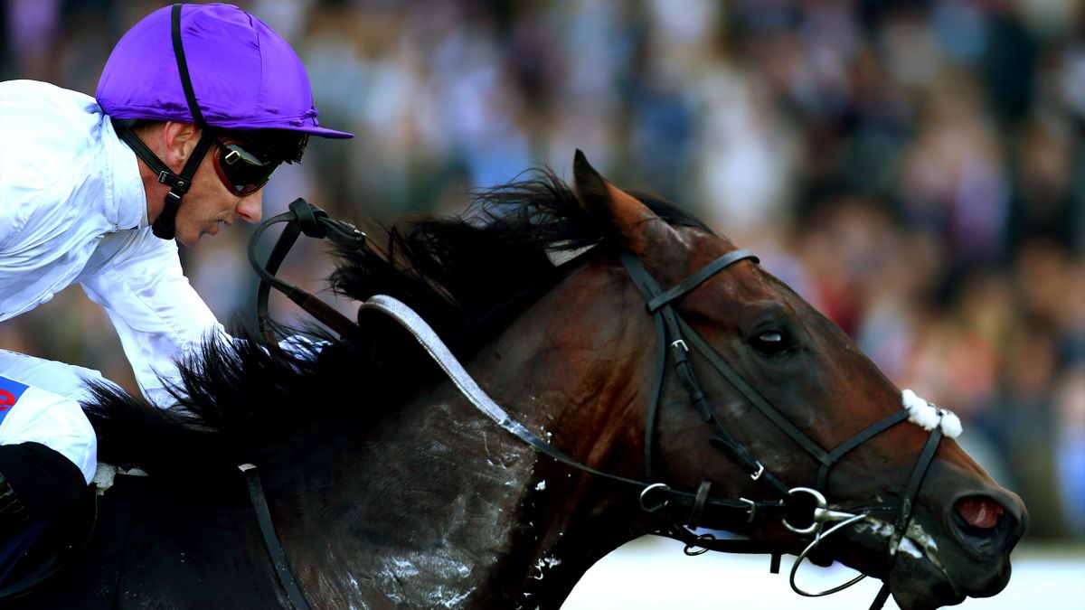 Too Darn Hot empfiehlt sich in Newmarket Eurosport