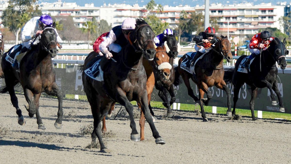 Pump Pump Palace, patron de la Riviera Eurosport