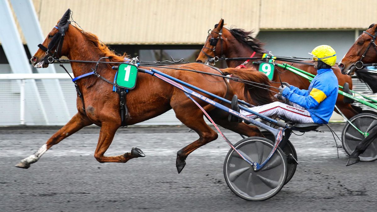 Calendrier Des Courses De Trot 2023 Belina Josselyn Seule Au Monde Dans Le Prix De Paris? - Eurosport