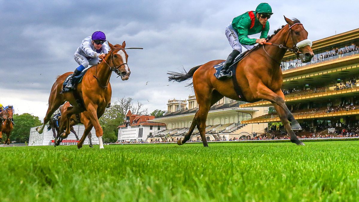 Calendrier Des Courses Hippiques 2023 Siyarafina, La Nouvelle Étoile Des Courses - Eurosport