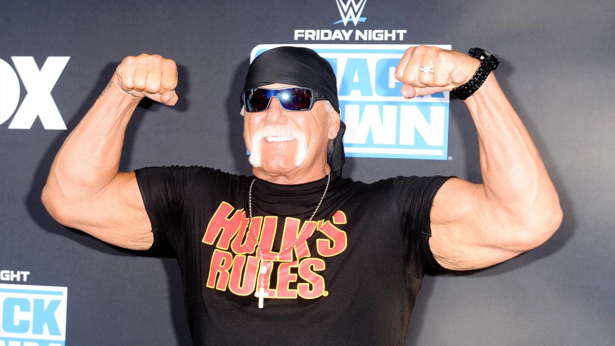 Hulk Hogan WWE