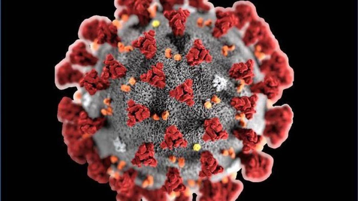 Emergenza Coronavirus: Conte firma il DPCM dell’1 aprile 2020