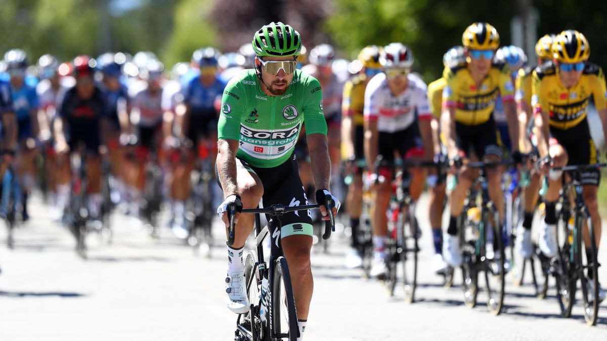 Peter sagan green sales jersey