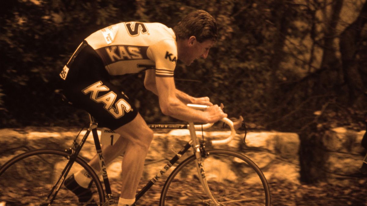 Sean kelly store cycle