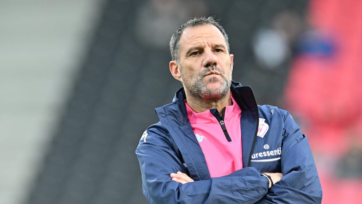 Veste best sale stade francais