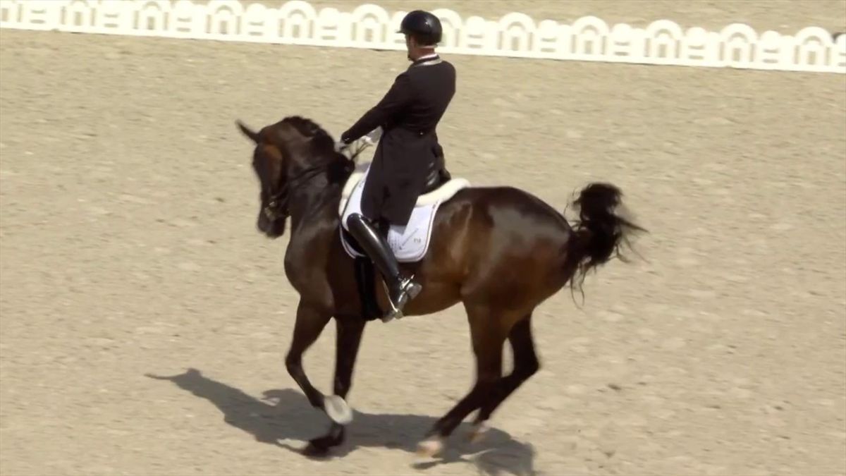 Dressur bei Olympia 2024 So lief Tag eins der Qualifikation Frederic Wandres schafft den