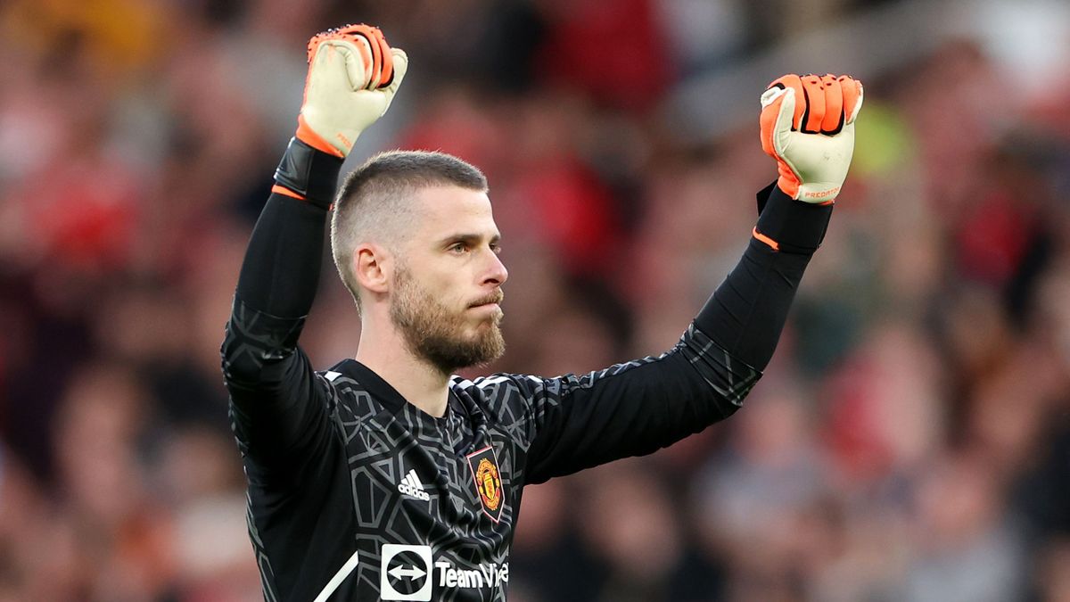 Former Manchester United goalkeeper David De Gea joins Fiorentina on  one-year deal after season without a club - Eurosport