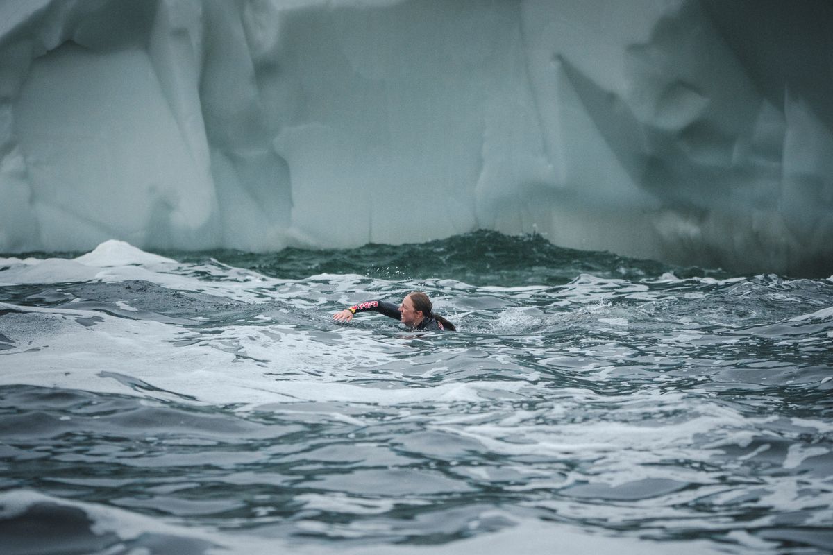 Red Bull Iceberg Dive: Molly Carlson è la prima donna al mondo a ...