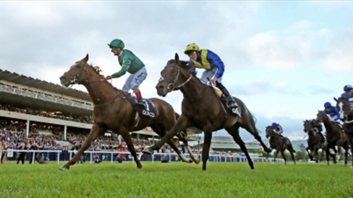 Decorated Knight springs surprise in Irish Champion Stakes at Longines