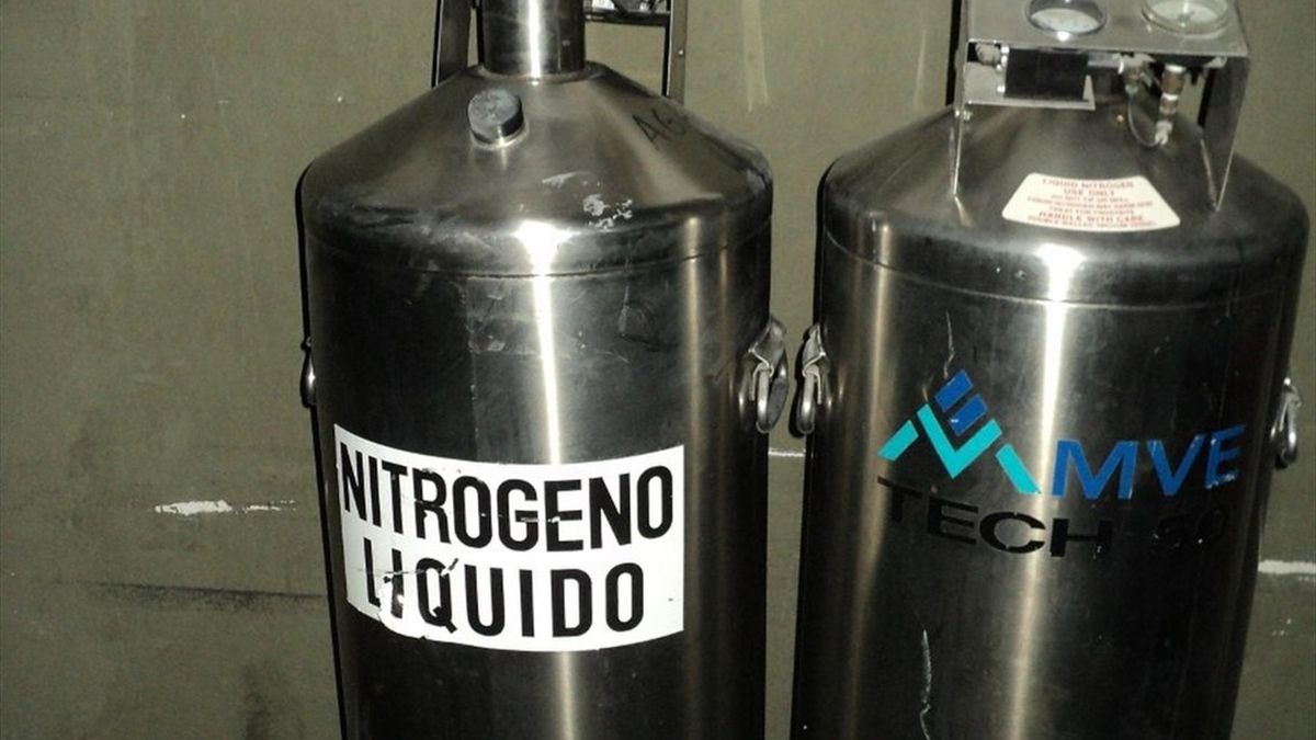 Los beneficios del nitrógeno líquido llegan
