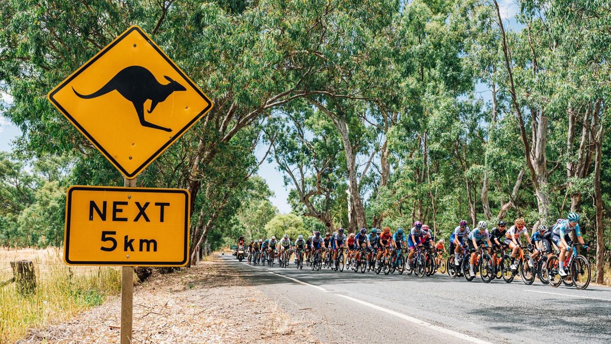 Tour Down Under Hoe ziet het parcours eruit en wie zijn de favorieten