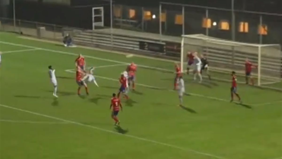 udivitelnyj gol iz kubka danii video