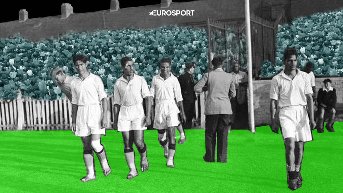 kto zdes bos neveroyatnye priklyucheniya