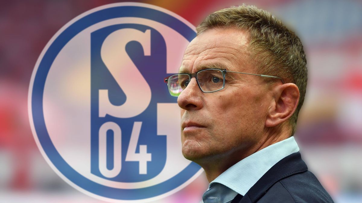 Ralf Rangnick ist beim FC Schalke 04 als Sportvorstand im Gespräch