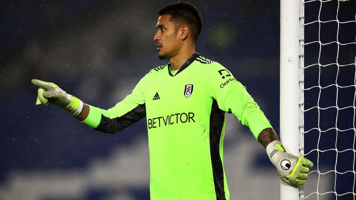 Fulham had keeper Alphonse Areola to thank for countless saves that kept them in the game