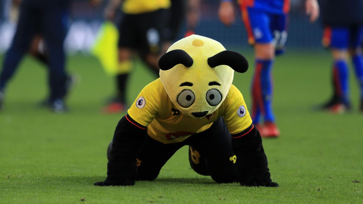 roy hodgson launches stinging attack on