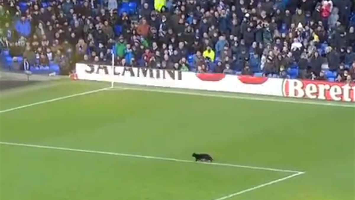 on bystree nashih igrokov kot vybezhal