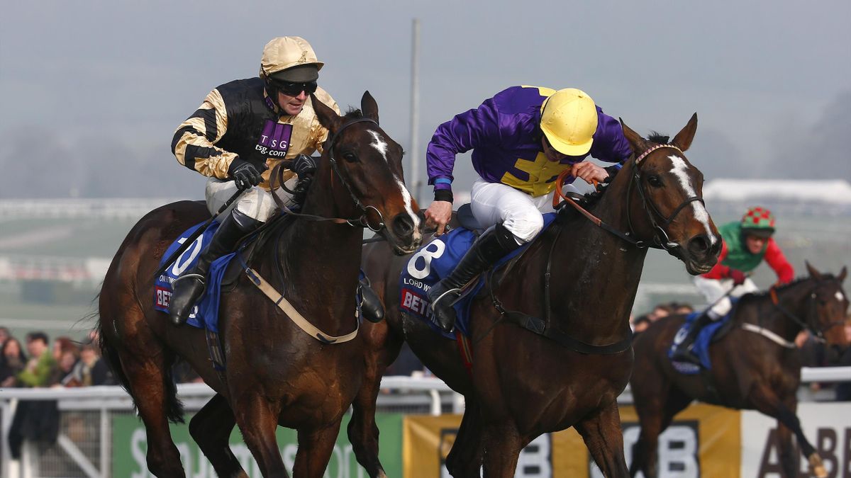 Outsider Lord Windermere wins Cheltenham Gold Cup Eurosport