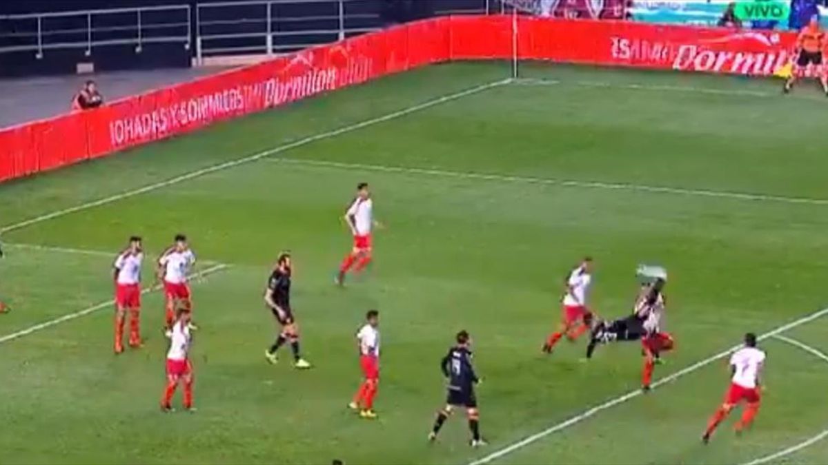 ogromnyj ognennyj lev progulyalsya po