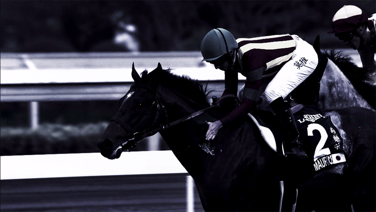 Longines cheap horse racing