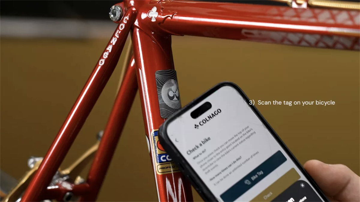 Used colnago best sale