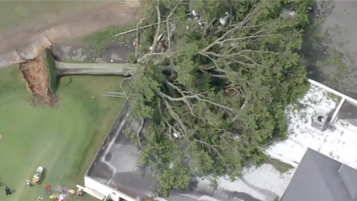 Un copac s-a prăbușit peste un hambar la un club de golf. Justin Riegel, aflat înăuntru, și-a pierdut viața