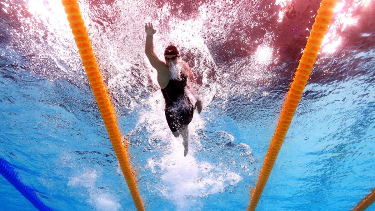 Calendrier Des Nageurs 2023 Natation : Les Prochains Mondiaux Au Japon Reportés En Juillet 2023 -  Eurosport