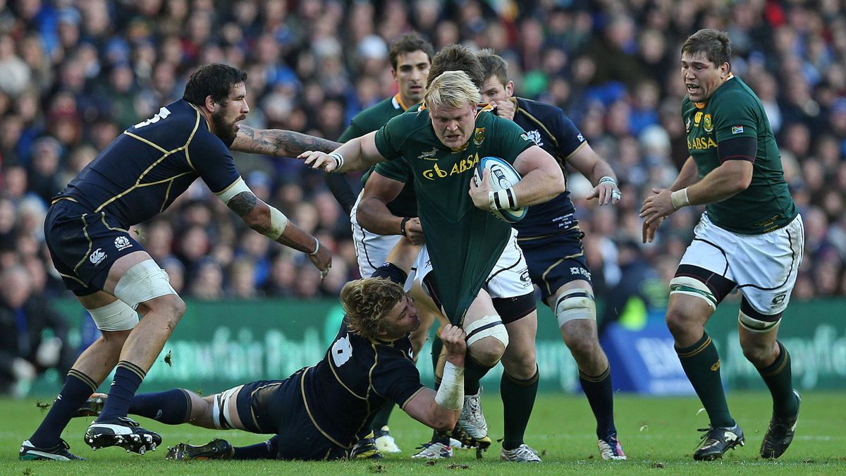 Strauss sees South Africa sink Scotland Rugby Eurosport Australia