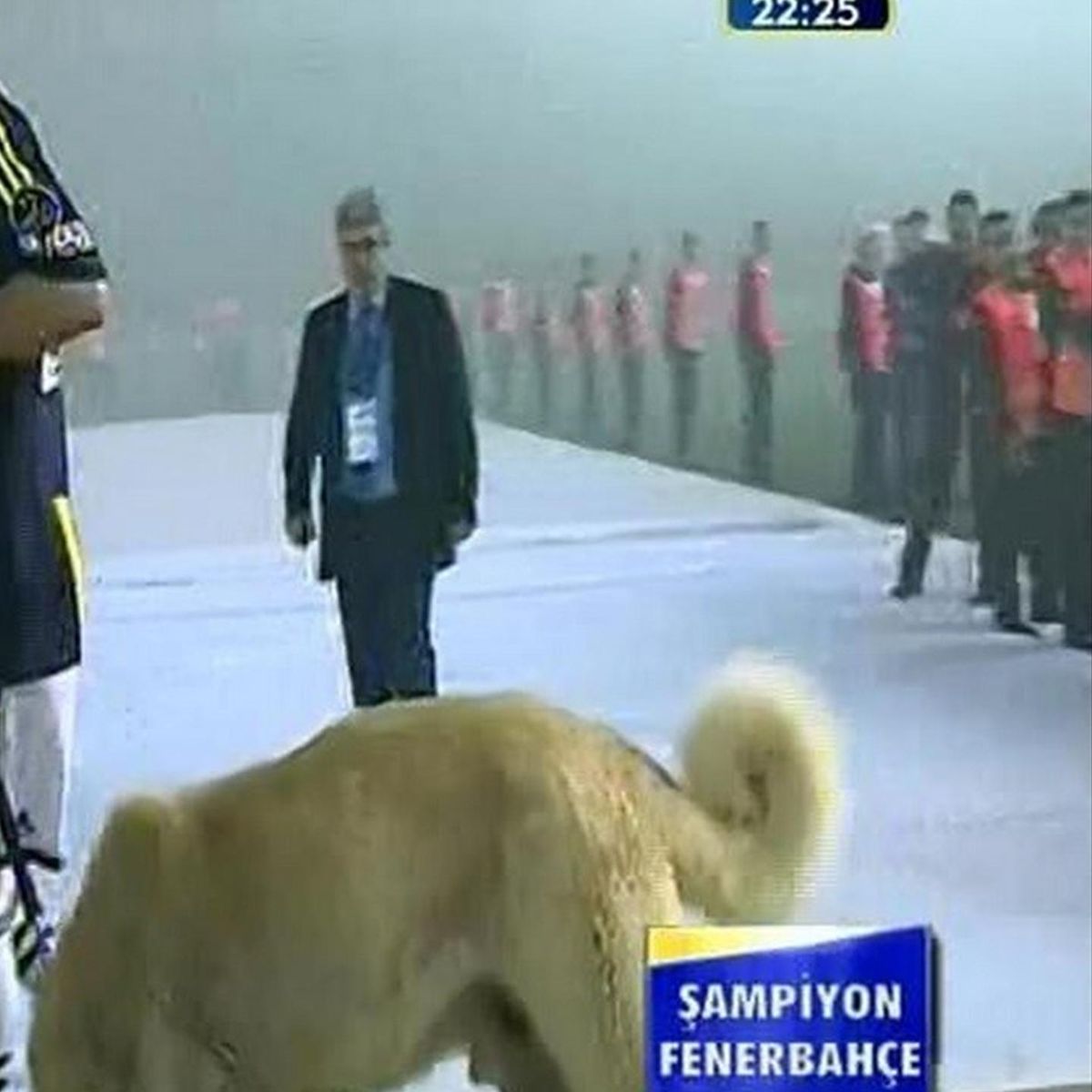 kangal getirdi