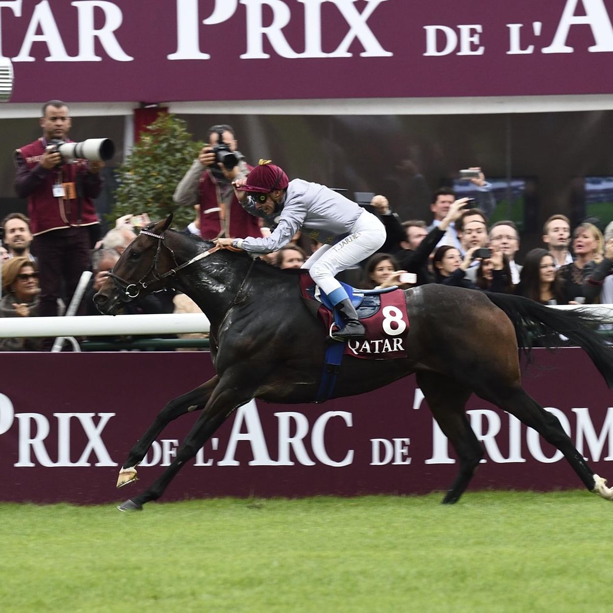 longchamp arc