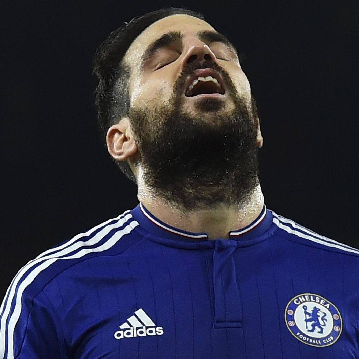 Arsene Wenger S Folly Allowed Cesc Fabregas To Shine For Chelsea But Don T Get Carried Away Eurosport His nickname is the bloody. folly allowed cesc fabregas