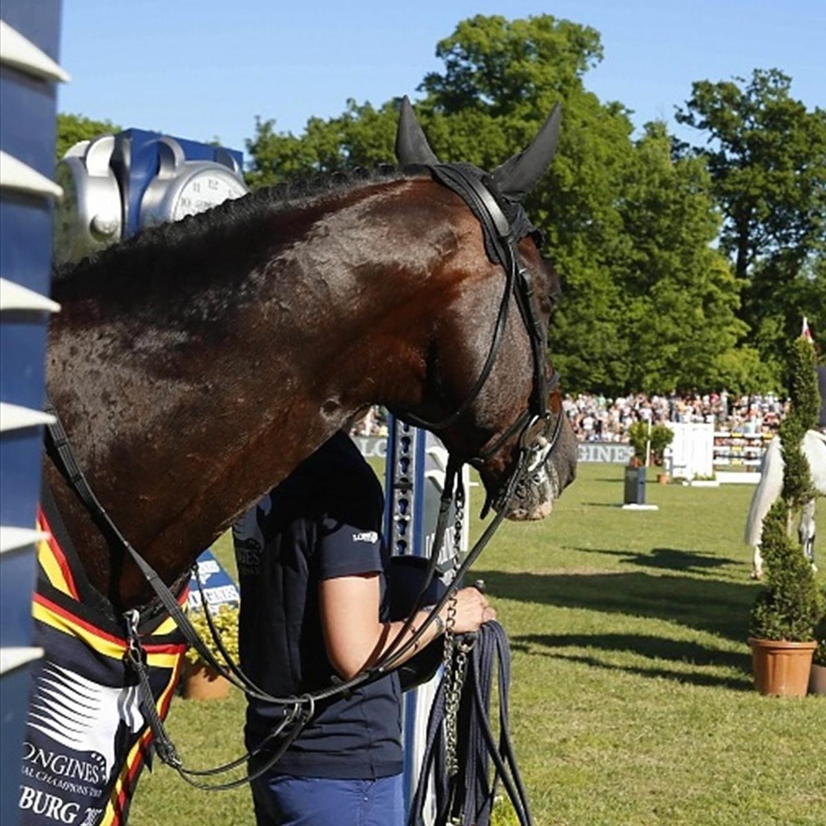 Elite Sport Horses Retiring At The Right Time Eurosport