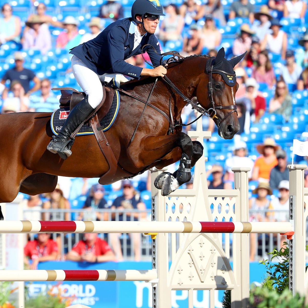 Henrik Von Eckermann Prince Of Windsor Eurosport