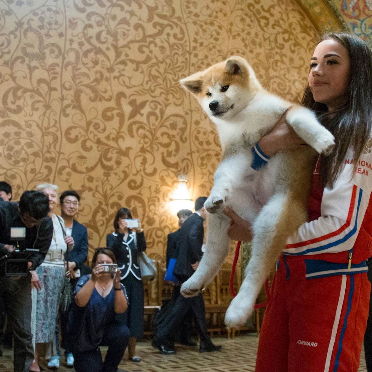 alina zagitova i ee sobaka masaru snimutsya v filme aleksandra domogarova mladshego eurosport