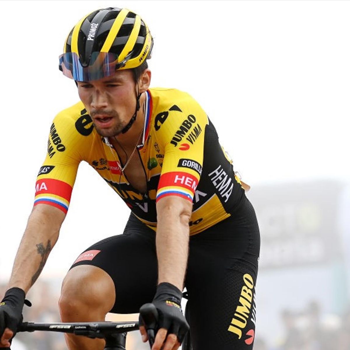 roglic bike 2020