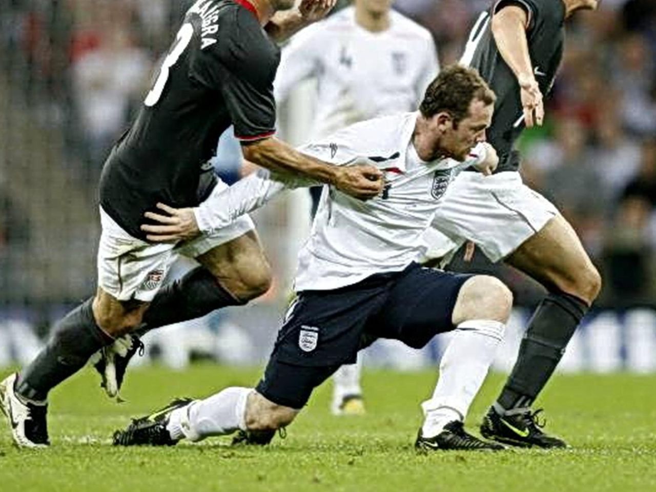 slon i yanki eurosport