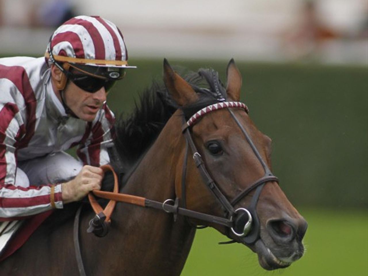 Calendrier Des Courses Hippiques 2023 Les Champions (Stakes) Du Monde À Ascot - Eurosport