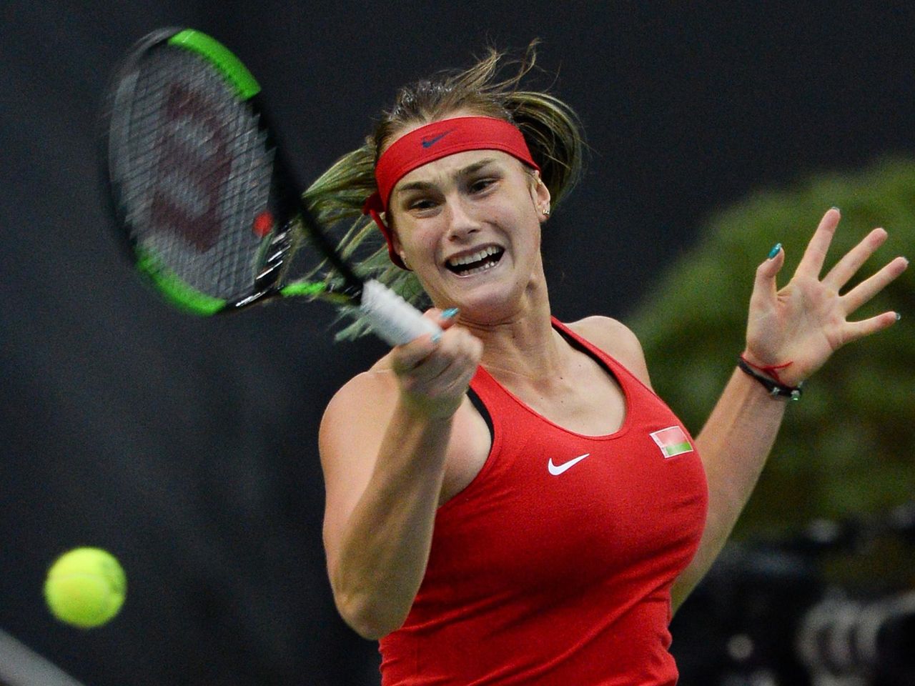 Aryna Sabalenka's Instagram, Twitter & Facebook on IDCrawl