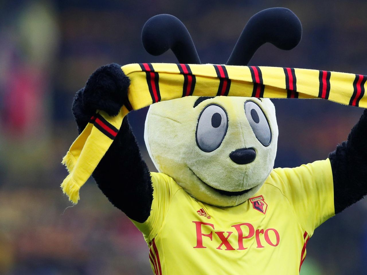 roy hodgson launches stinging attack on